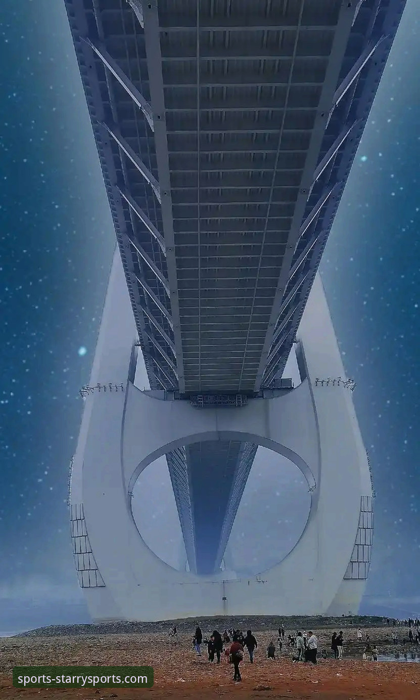 星空体育2024版下载难题全面解析：创新方案与前瞻性解决思路